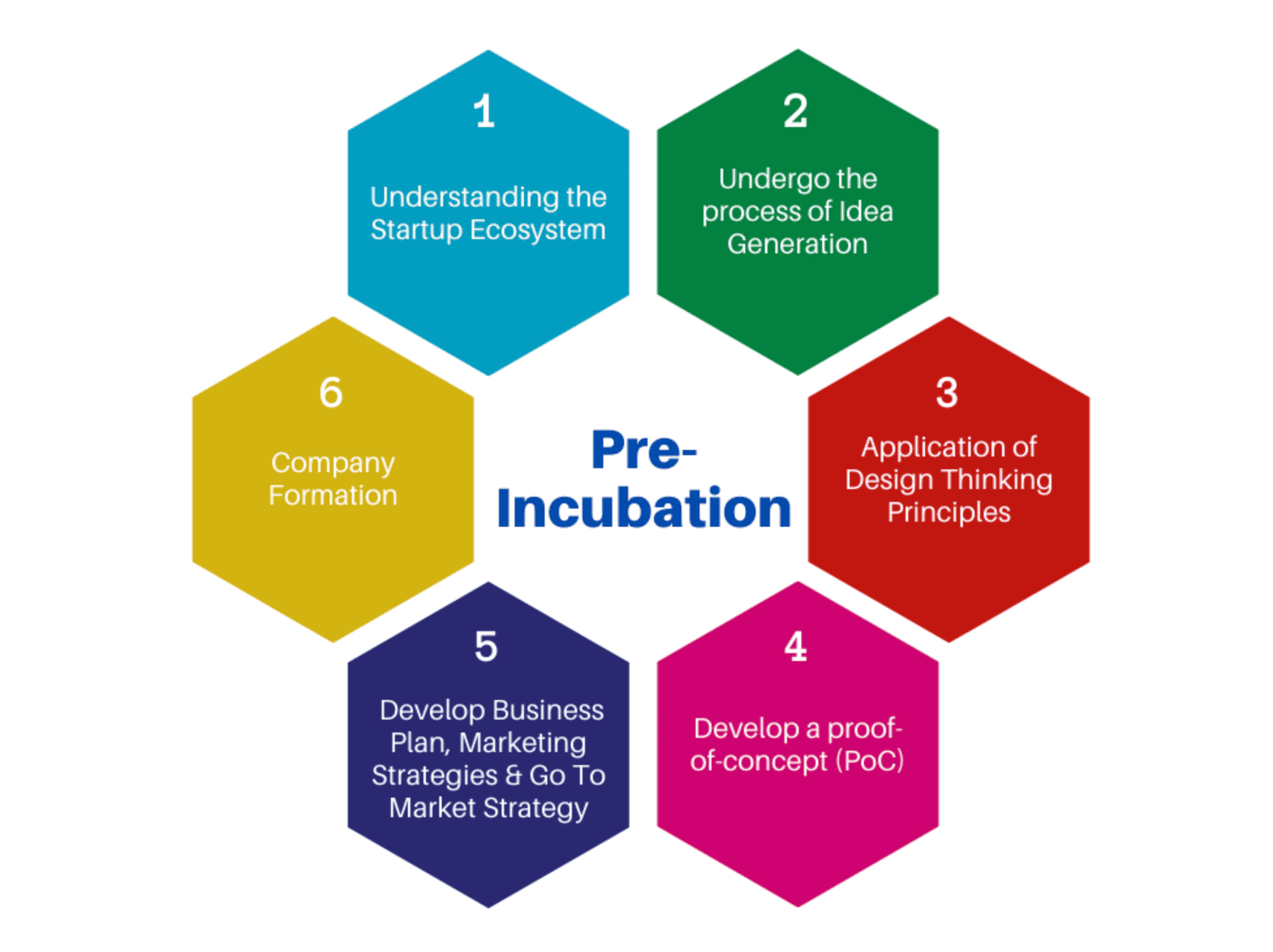 Pre-Incubation (3-6 Months)